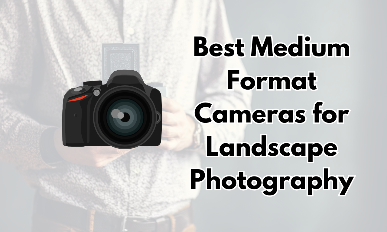 Best Medium Format Cameras for Landscape Photography