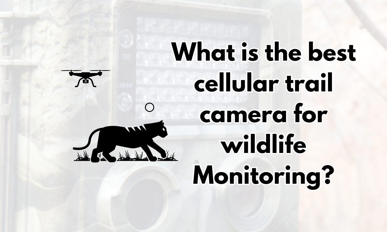 What is the best cellular trail camera for wildlife monitoring?