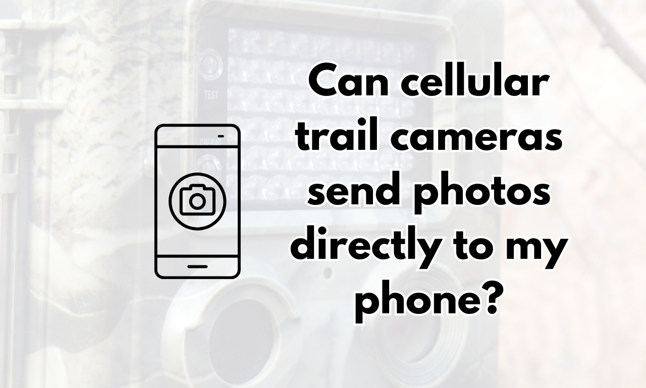 Can cellular trail cameras send photos directly to my phone